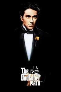 Poster to the movie "The Godfather Part II" #22712