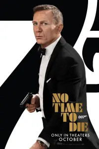 Poster to the movie "No Time to Die" #219578