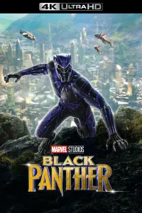 Poster to the movie "Black Panther" #219913