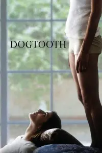 Poster to the movie "Dogtooth" #96316