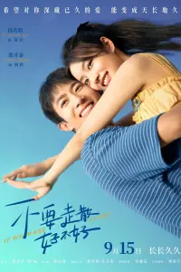 Poster to the movie "不要走散好不好" #446335