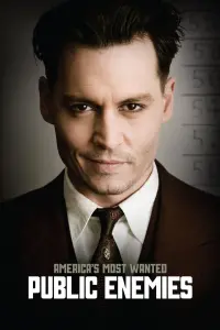 Poster to the movie "Public Enemies" #271250