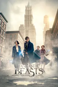 Poster to the movie "Fantastic Beasts and Where to Find Them" #25080