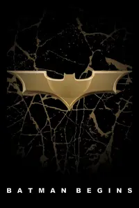 Poster to the movie "Batman Begins" #201320