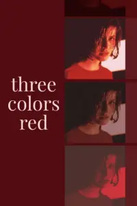 Poster to the movie "Three Colors: Red" #94003