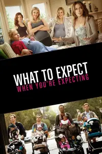 Poster to the movie "What to Expect When You