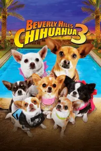 Poster to the movie "Beverly Hills Chihuahua 3: Viva la Fiesta!" #89059