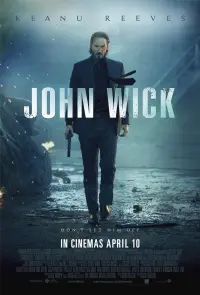 Poster to the movie "John Wick" #51555