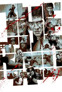 Poster to the movie "The Raid" #82164