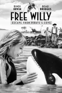 Poster to the movie "Free Willy: Escape from Pirate