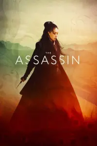 Poster to the movie "The Assassin" #150054