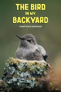 Poster to the movie "The Bird in My Backyard" #662089