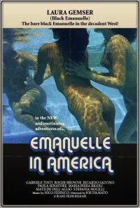 Poster to the movie "Emanuelle in America" #66258