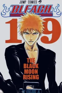 Poster to the movie "Bleach the Movie: Memories of Nobody" #552917