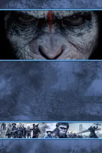 Poster to the movie "Dawn of the Planet of the Apes" #168440