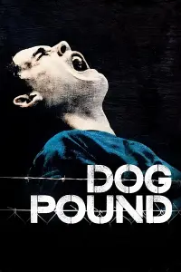 Poster to the movie "Dog Pound" #355079