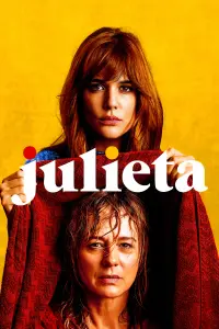 Poster to the movie "Julieta" #248223