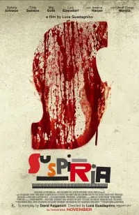 Poster to the movie "Suspiria" #105058