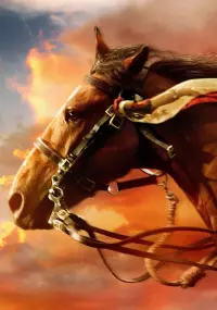 Poster to the movie "War Horse" #609418