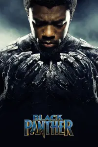 Poster to the movie "Black Panther" #542977