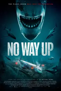 Poster to the movie "No Way Up" #368106