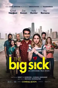 Poster to the movie "The Big Sick" #113988