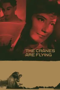 Poster to the movie "The Cranes Are Flying" #181578