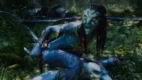 Backdrop to the movie "Avatar" #557940