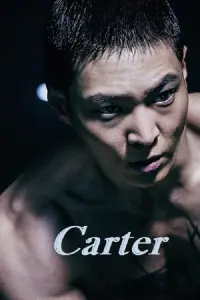 Poster to the movie "Carter" #57759