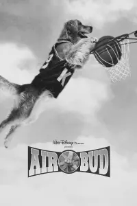 Poster to the movie "Air Bud" #602255