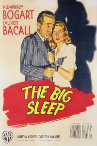 Poster to the movie "The Big Sleep" #126291