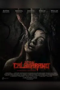 Poster to the movie "Kutukan Calonarang" #646509