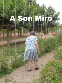 Poster to the movie "A Son Miró" #569993