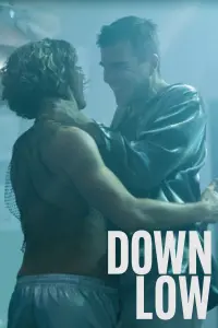 Poster to the movie "Down Low" #477237