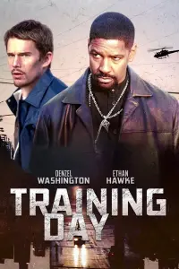 Poster to the movie "Training Day" #211541