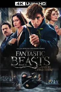 Poster to the movie "Fantastic Beasts and Where to Find Them" #25115