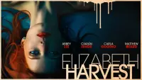 Backdrop to the movie "Elizabeth Harvest" #296531