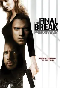 Poster to the movie "Prison Break: The Final Break" #213062