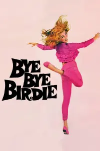 Poster to the movie "Bye Bye Birdie" #157899