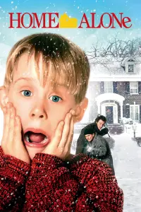 Poster to the movie "Home Alone" #216163