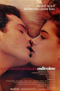 Poster to the movie "Endless Love" #111594