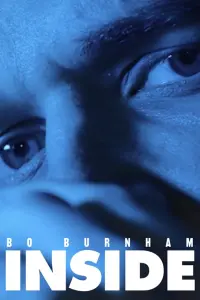 Poster to the movie "Bo Burnham: Inside" #177998