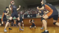 Backdrop to the movie "Haikyuu!! Movie 3: Genius and Sense" #400560