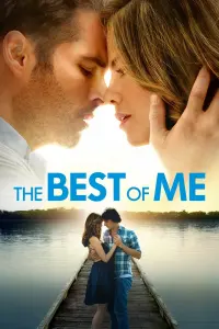 Poster to the movie "The Best of Me" #214287