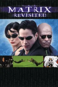 Poster to the movie "The Matrix Revisited" #159432