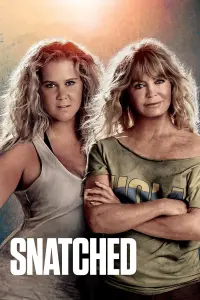 Poster to the movie "Snatched" #87275