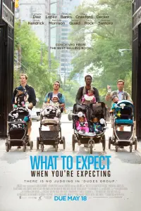 Poster to the movie "What to Expect When You