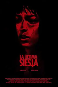 Poster to the movie "La última siesta" #412788