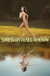 Poster to the movie "Somebody I Used to Know" #325679