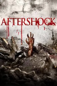 Poster to the movie "Aftershock" #348359